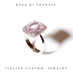 ROSA DI FRANCIA - immagine 3